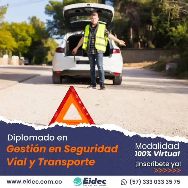 Diplomado en Gestión en Seguridad vial y Transporte